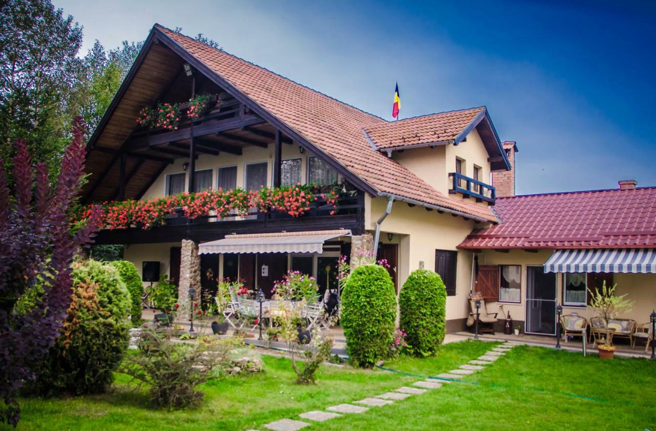 Casa Csiki Villa Risnov Exterior photo